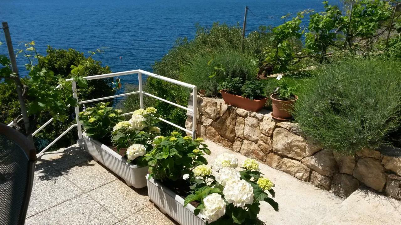 Sunset Apartments Slano Exterior foto